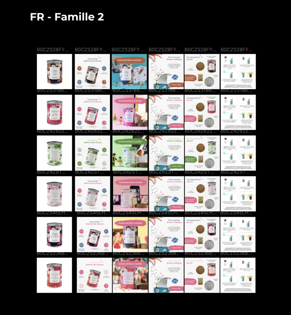 Fiche produit FR Stratégie Amazon Pan-EU Mauvaises Graines