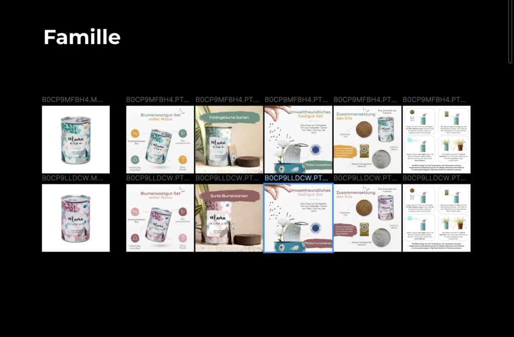 Fiche produit DE Stratégie Amazon Pan-EU Mauvaises Graines